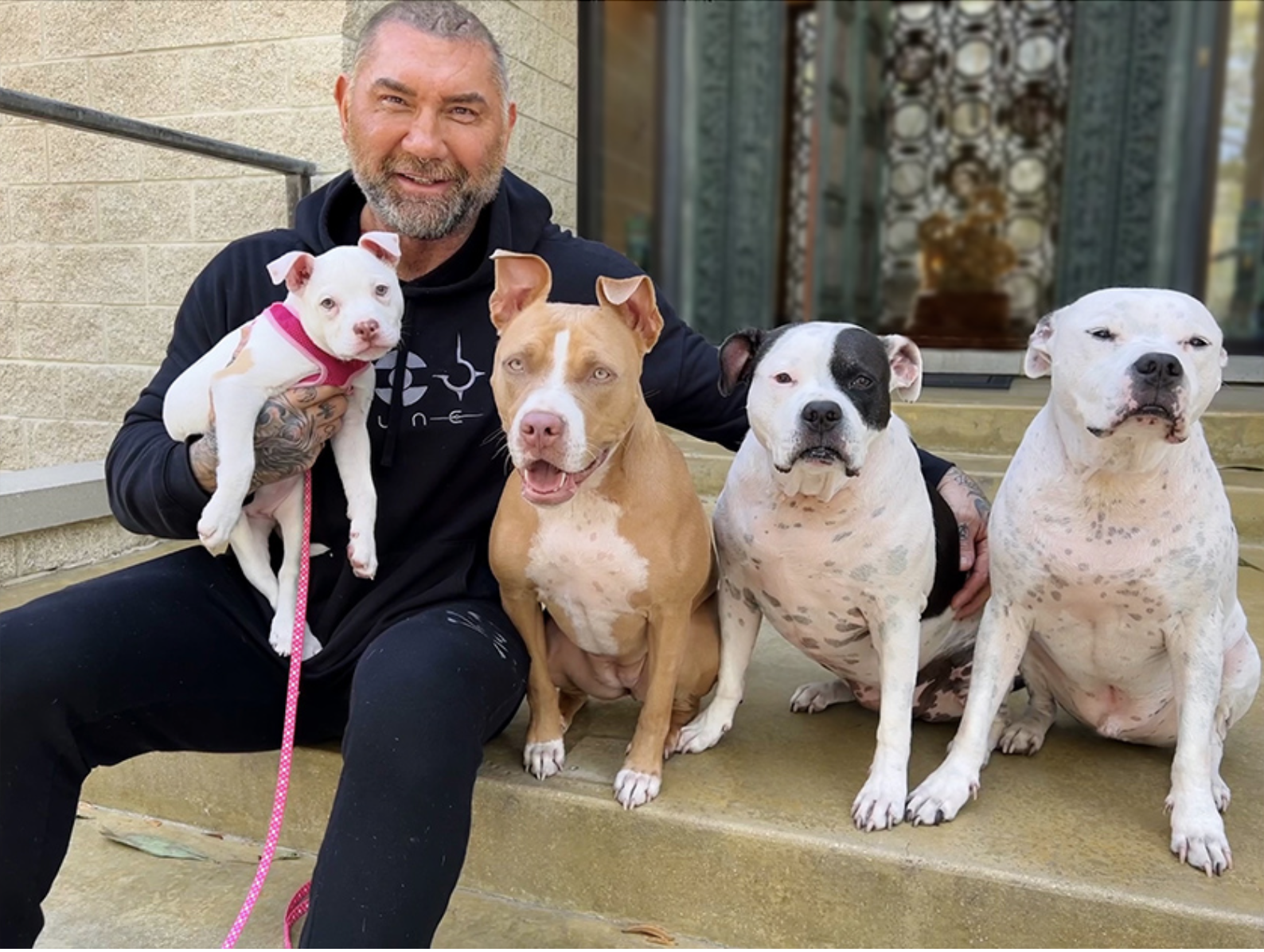 dave bautista