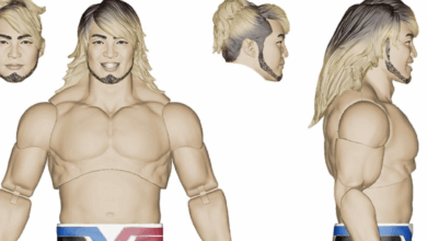 hiroshi tanahashi figure